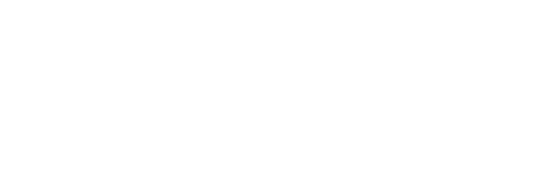 Puur vakmanschap